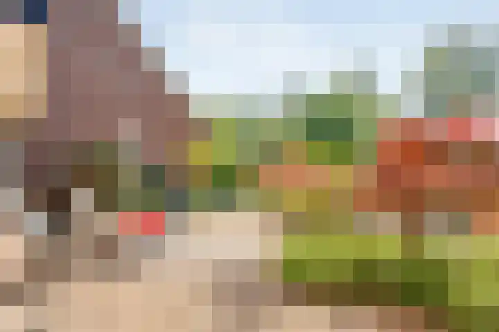 Bastertkamp 17 Zwolle thumbnail 26