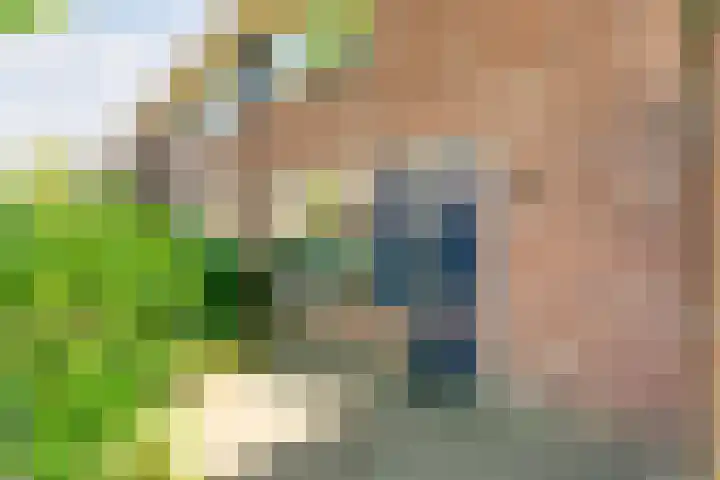 Bastertkamp 17 Zwolle thumbnail 29