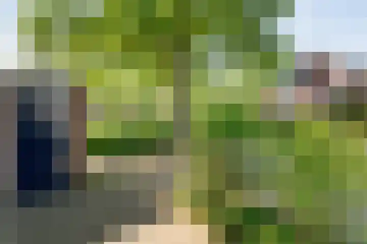 Bastertkamp 17 Zwolle thumbnail 31