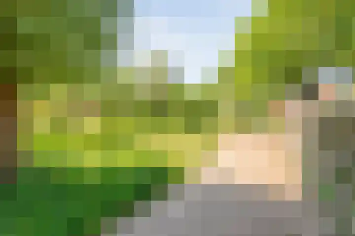 Bastertkamp 17 Zwolle thumbnail 34