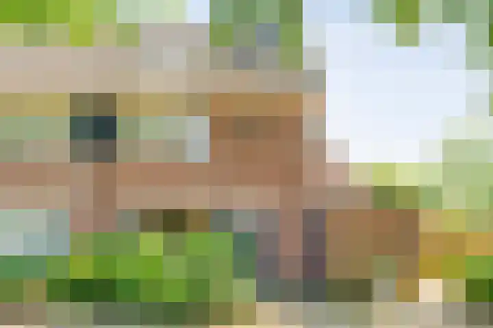 Bastertkamp 17 Zwolle thumbnail 43