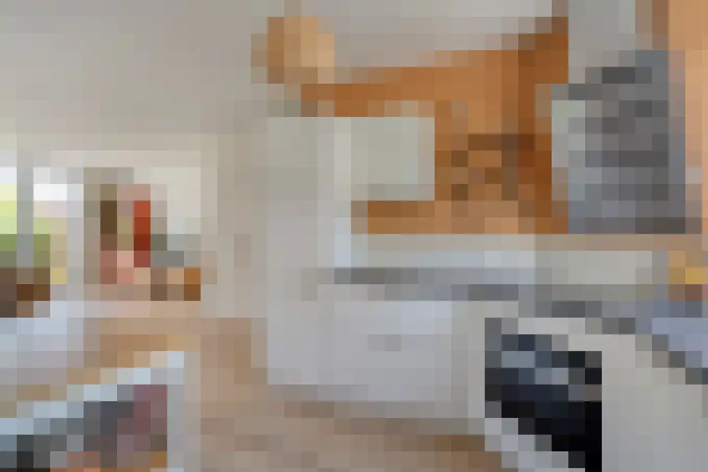 Bastertkamp 26 Zwolle thumbnail 13