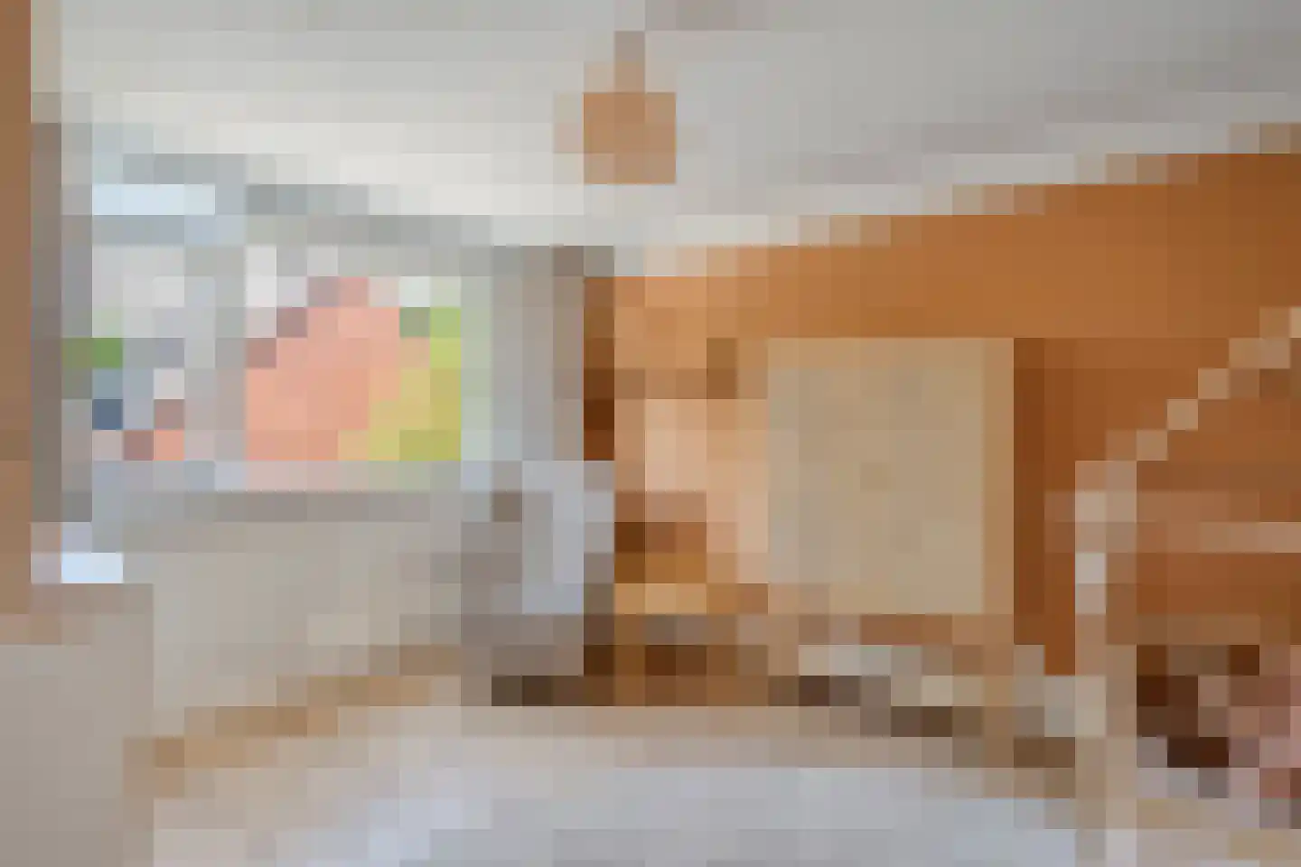 Bastertkamp 26 Zwolle thumbnail 18