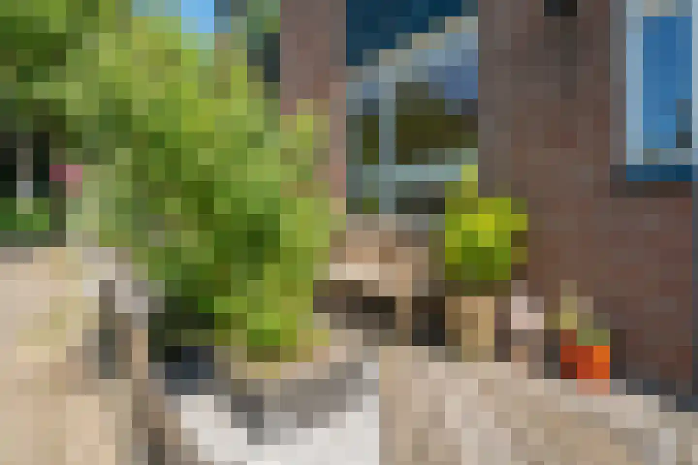 Bastertkamp 26 Zwolle thumbnail 30