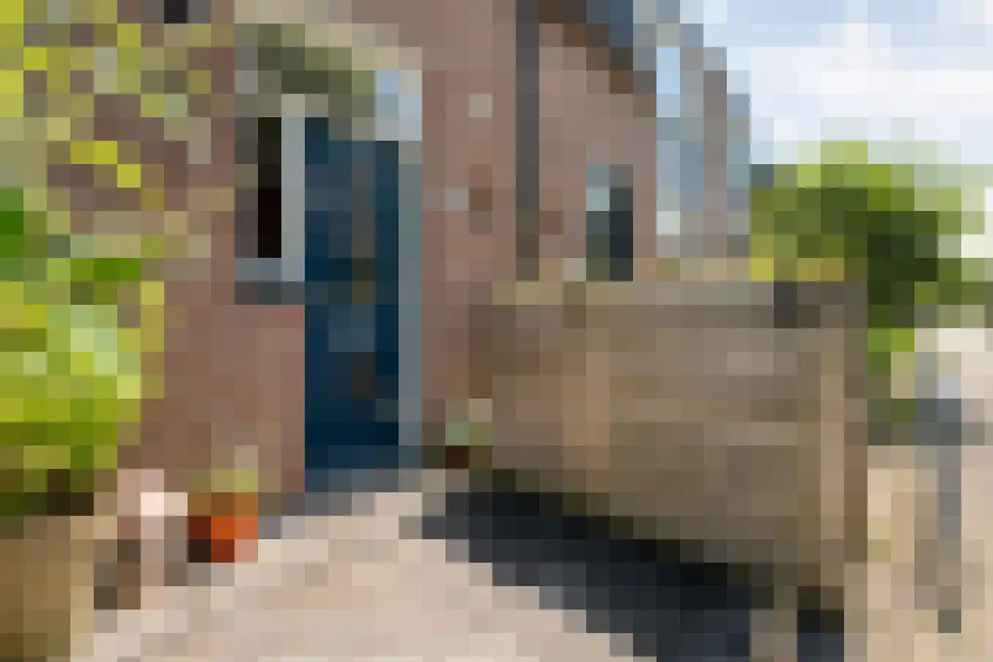 Bastertkamp 26 Zwolle thumbnail 31
