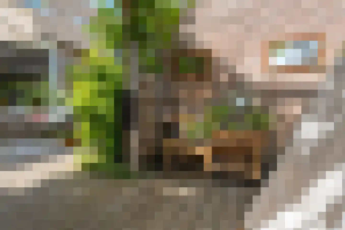Bastertkamp 26 Zwolle thumbnail 34