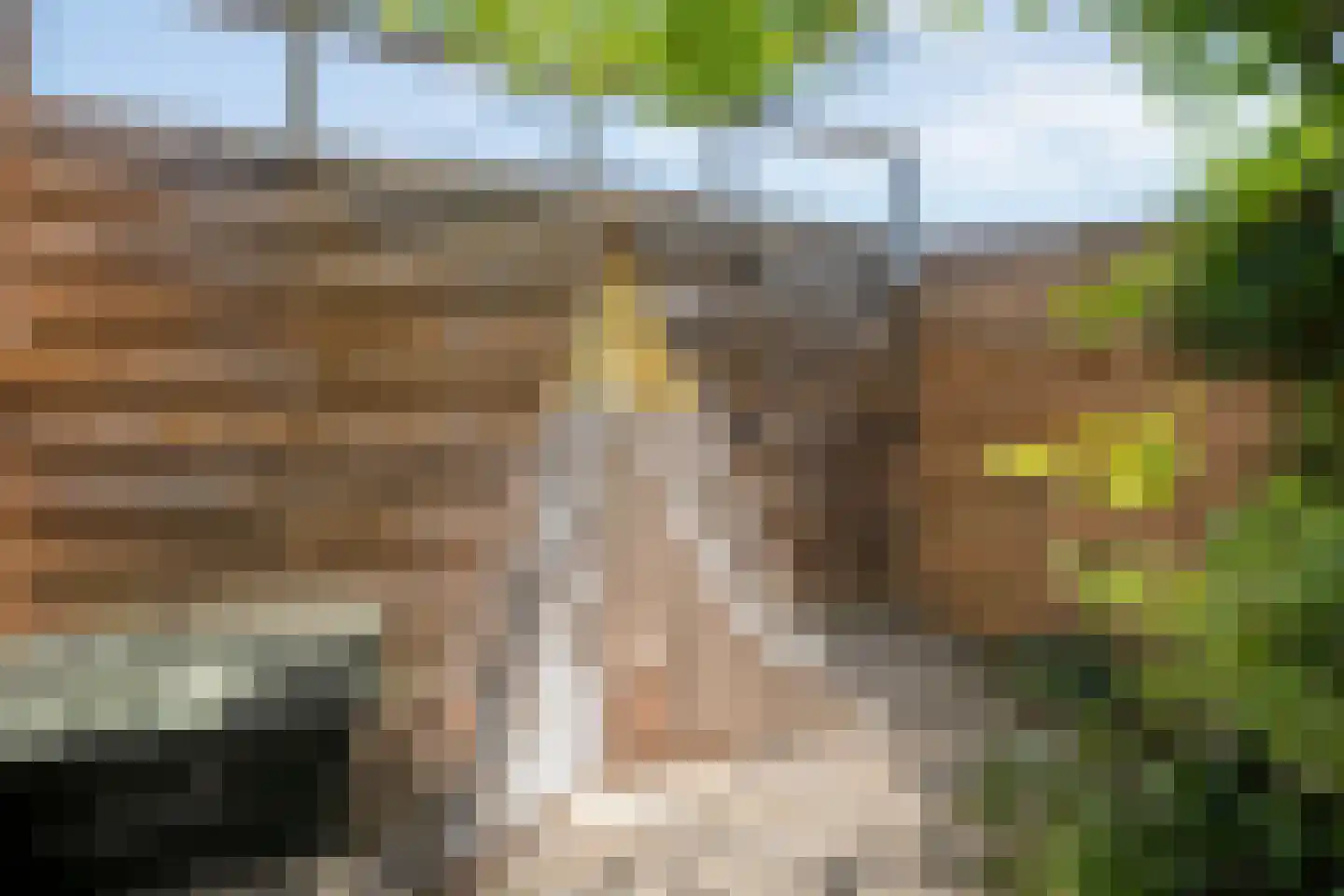Bastertkamp 26 Zwolle thumbnail 36
