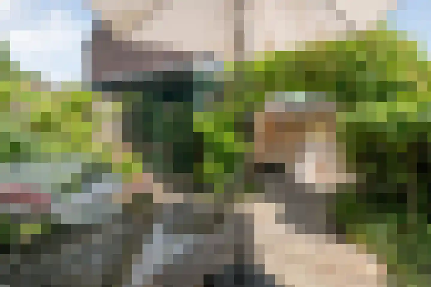 Bastertkamp 26 Zwolle thumbnail 37