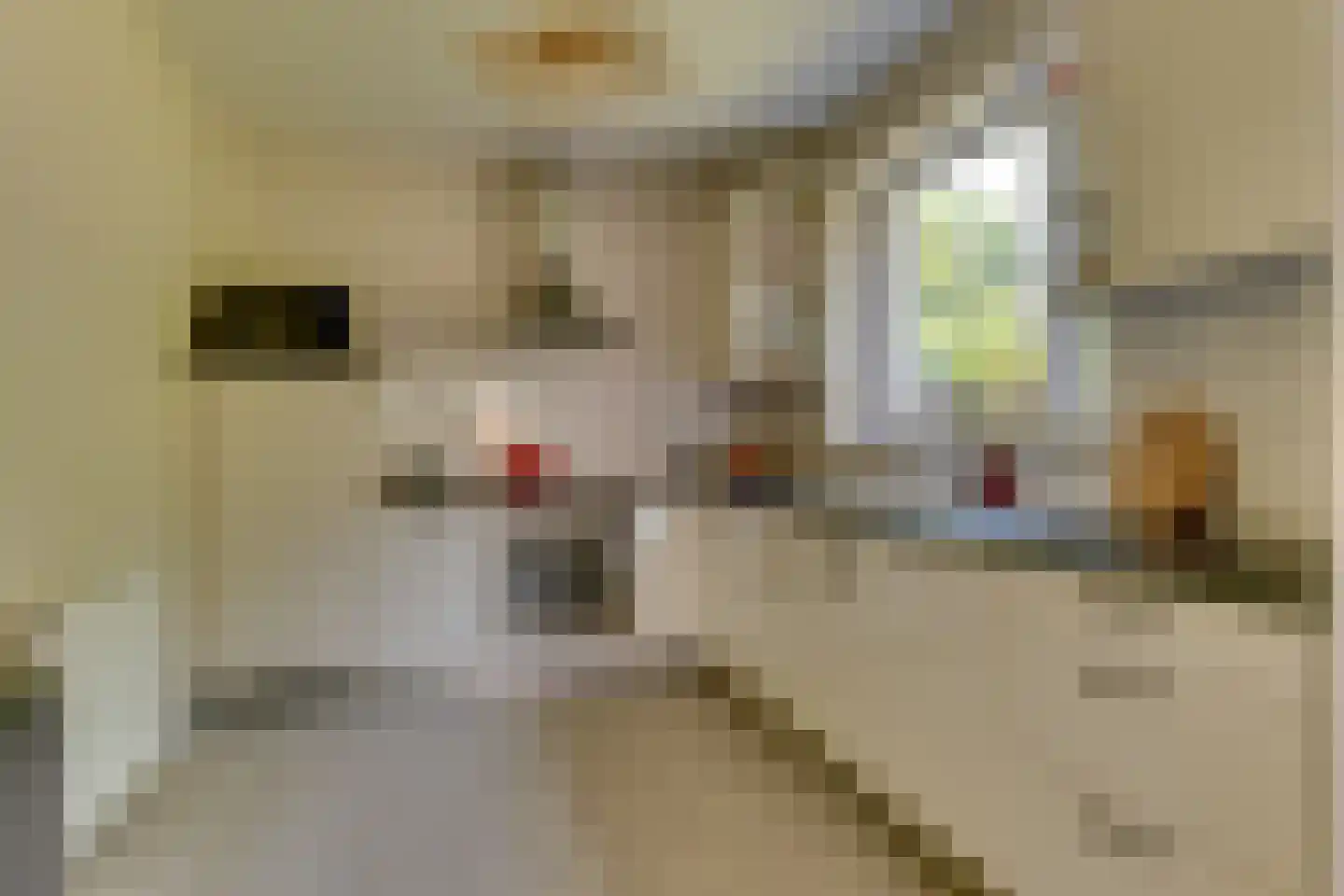 Bastertkamp 55 Zwolle thumbnail 13