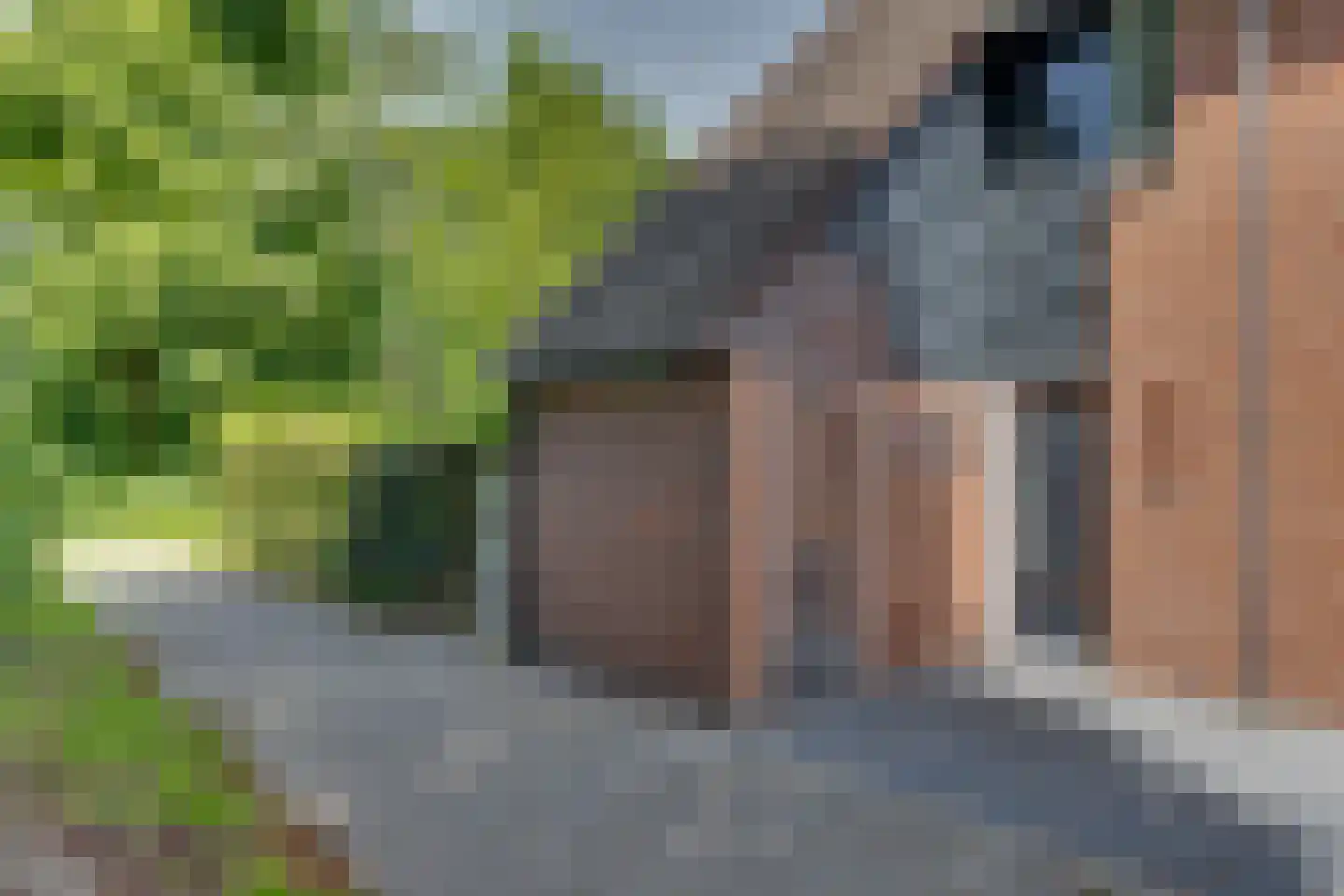 Bastertkamp 55 Zwolle thumbnail 30