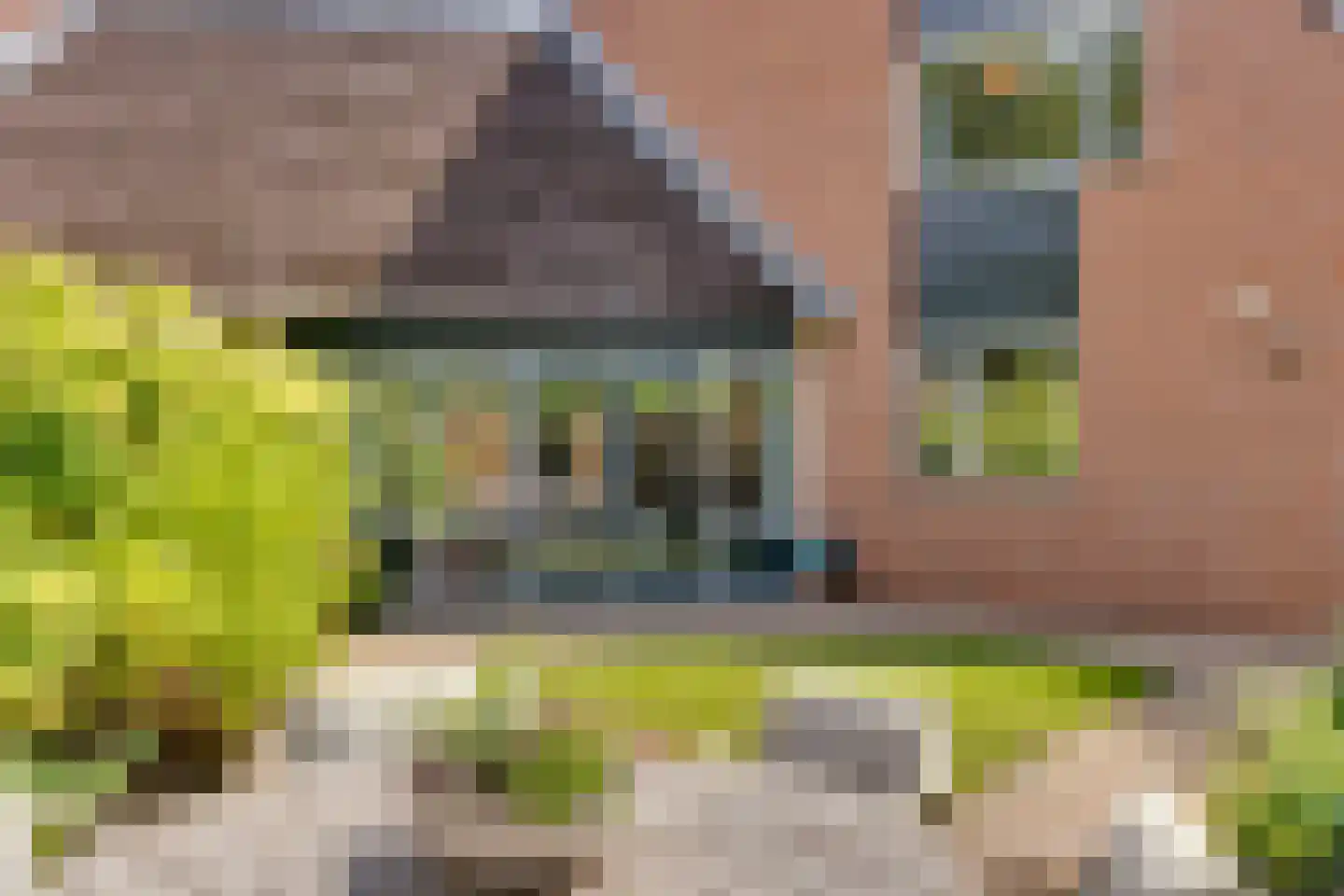 Bastertkamp 55 Zwolle thumbnail 31