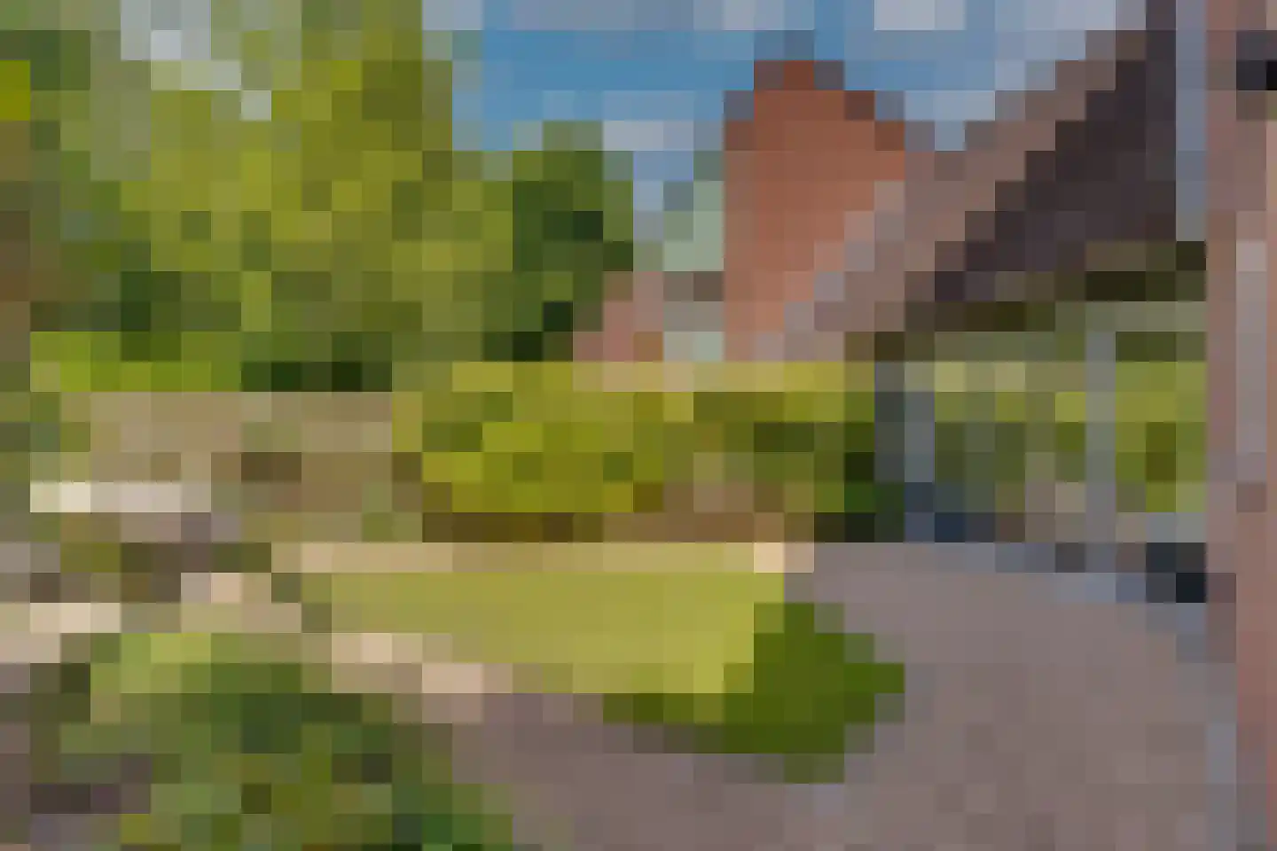 Bastertkamp 55 Zwolle thumbnail 32