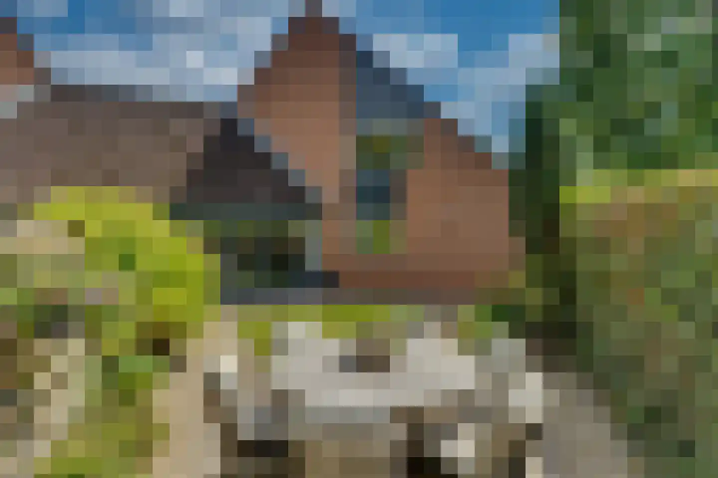 Bastertkamp 55 Zwolle thumbnail 33
