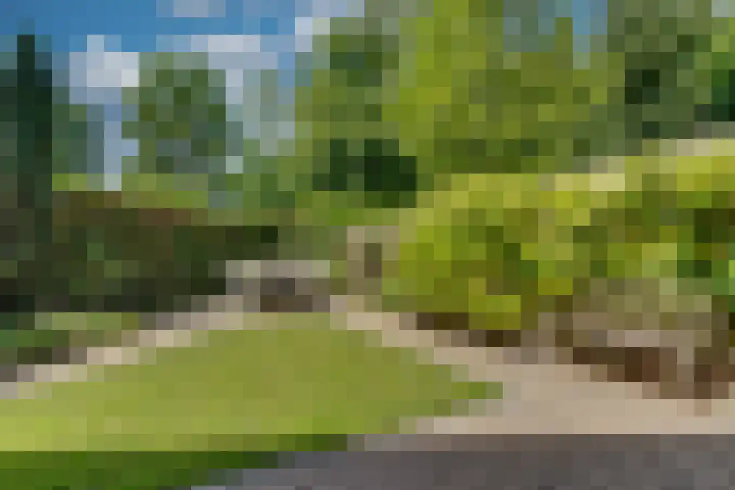 Bastertkamp 55 Zwolle thumbnail 34