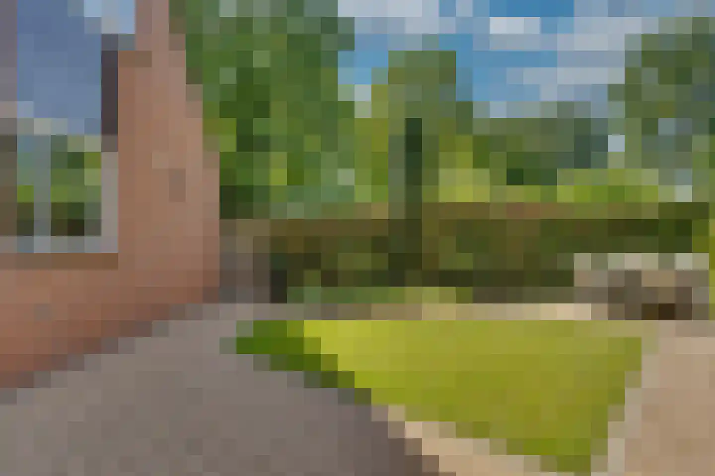 Bastertkamp 55 Zwolle thumbnail 35
