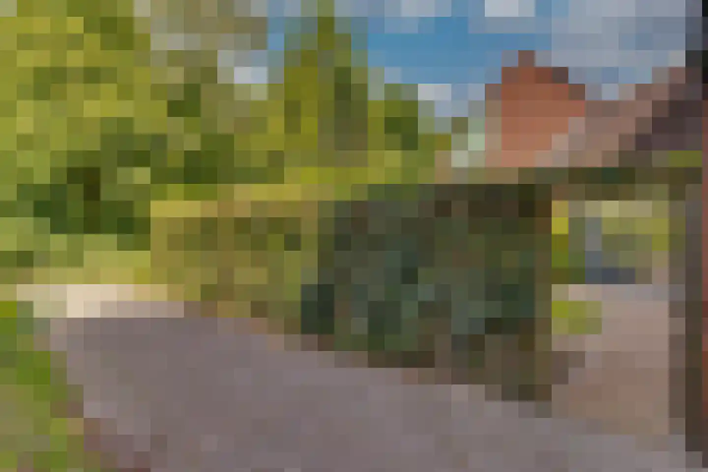Bastertkamp 55 Zwolle thumbnail 36