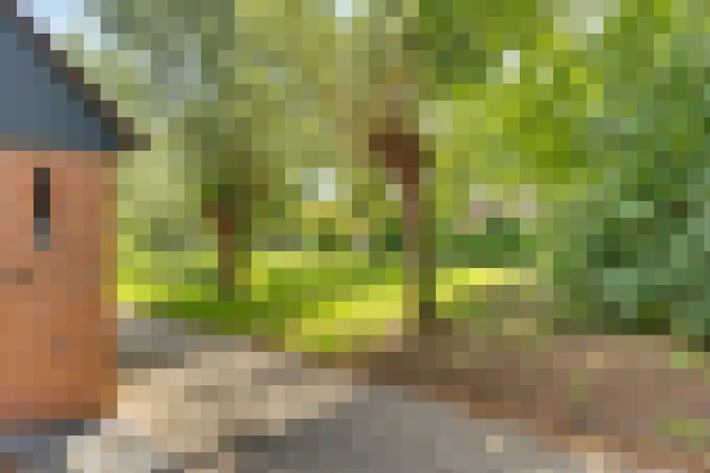 Bastertkamp 55 Zwolle thumbnail 37