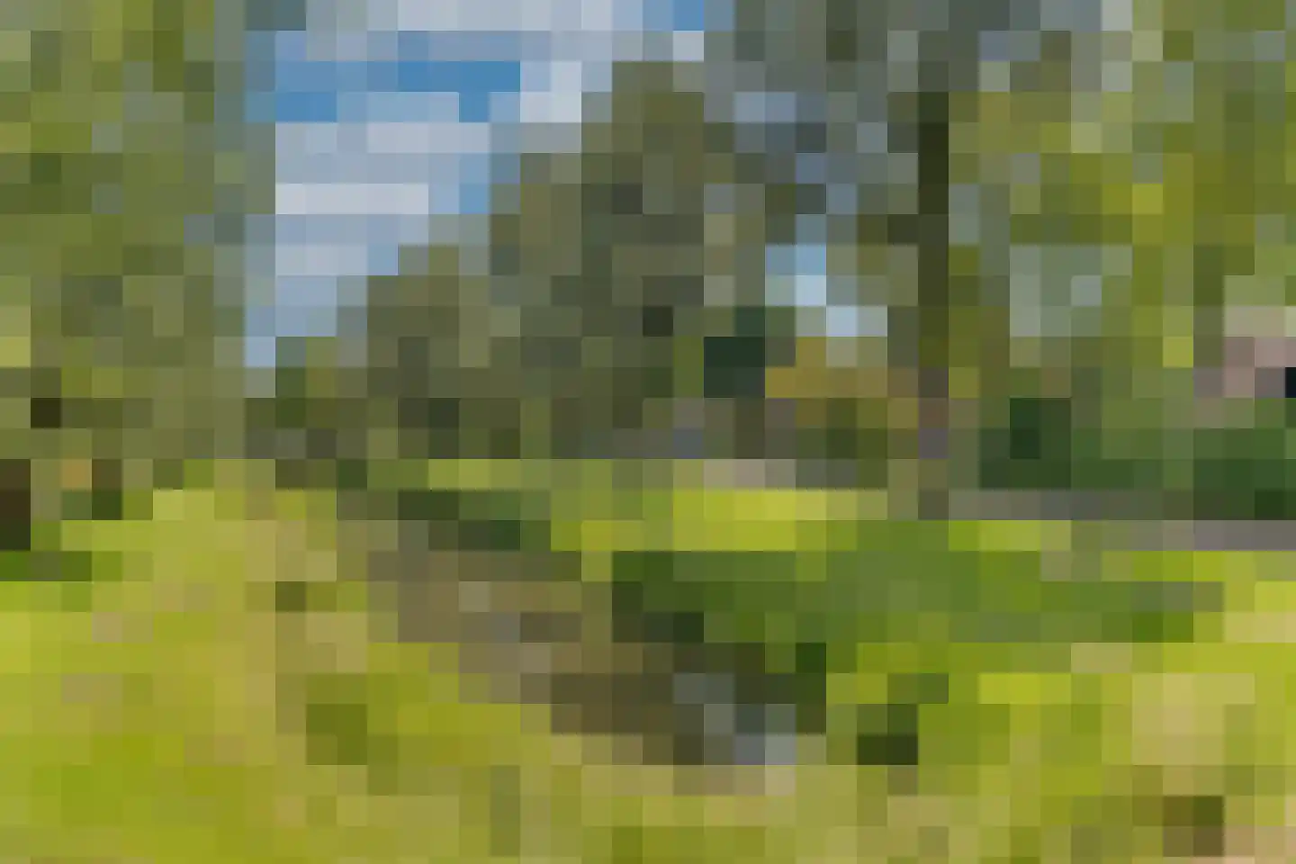 Bastertkamp 55 Zwolle thumbnail 38