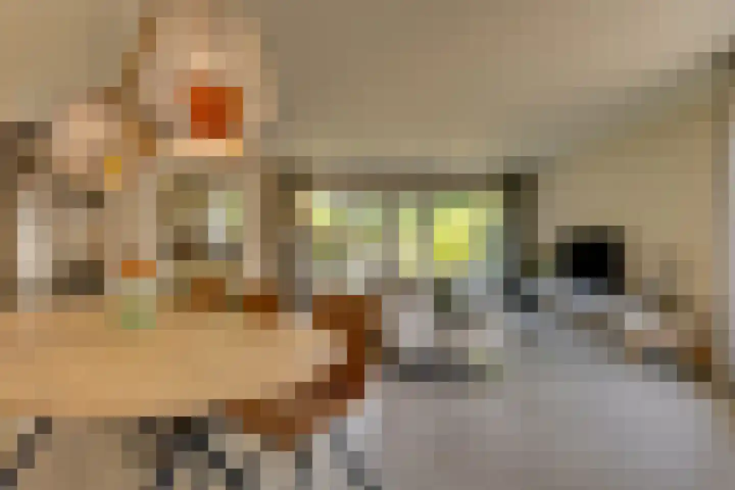 Bastertkamp 55 Zwolle thumbnail 4