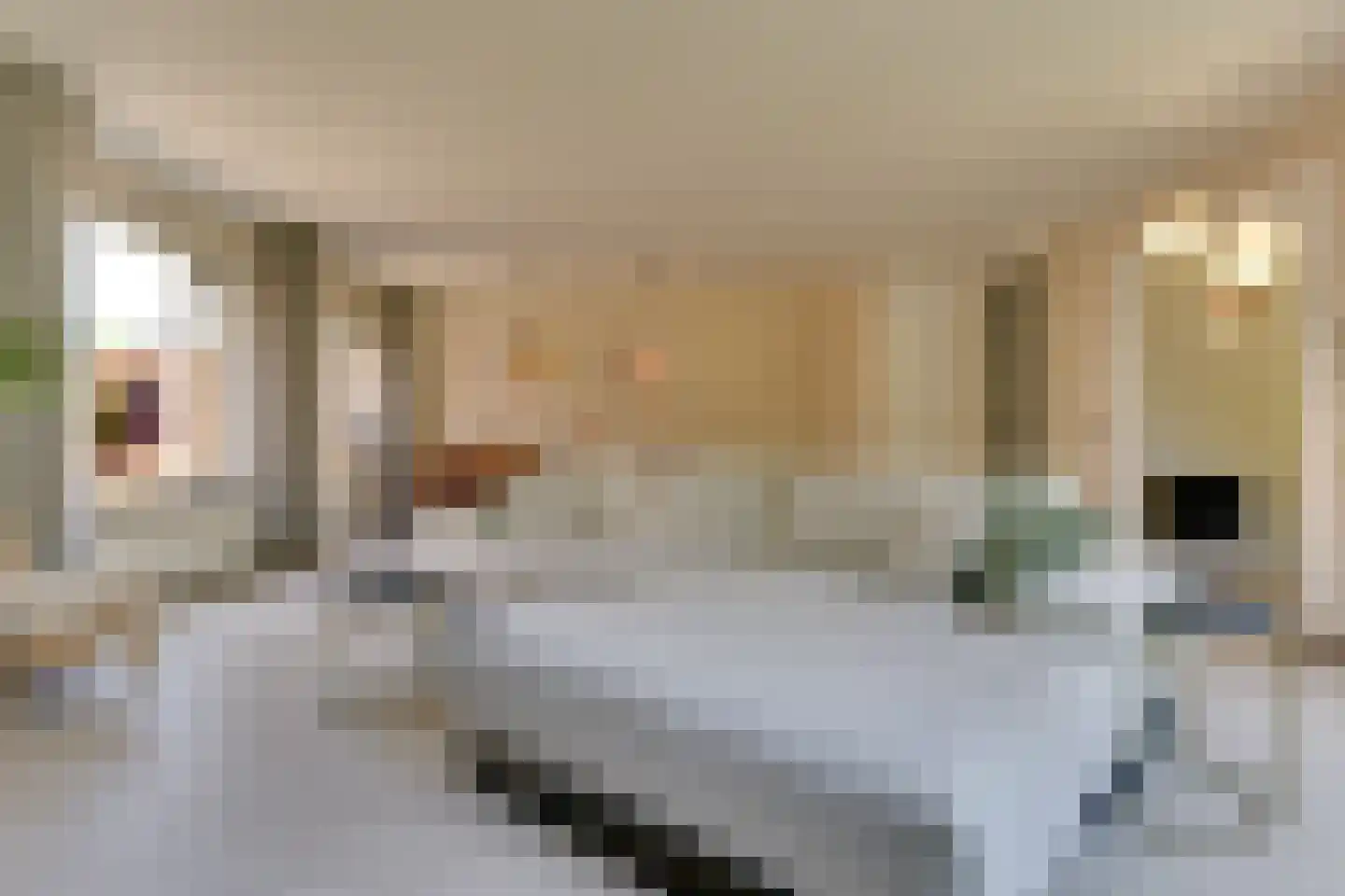 Bastertkamp 55 Zwolle thumbnail 8