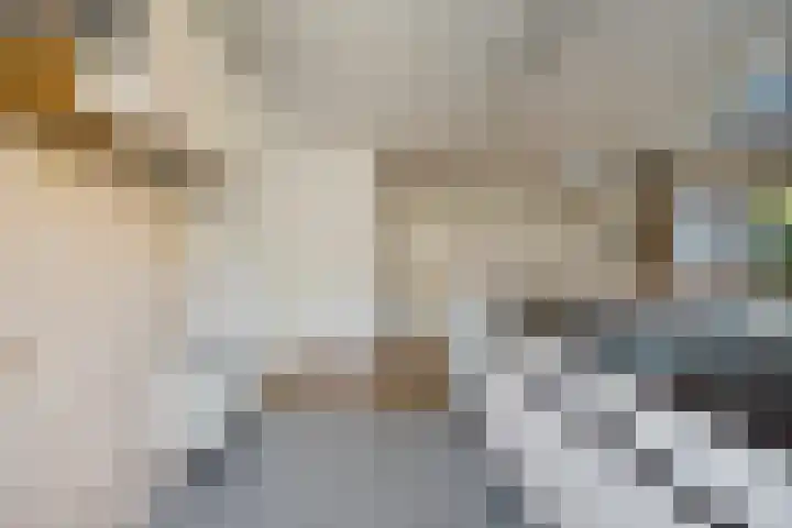 Bastertkamp 65 Zwolle thumbnail 16