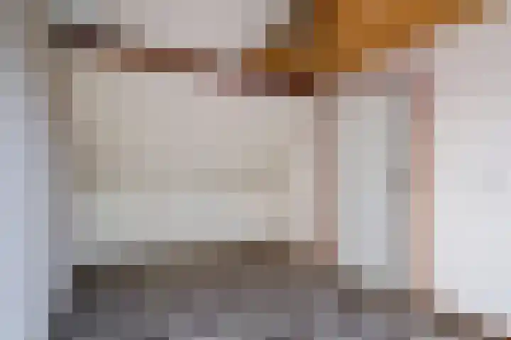 Bastertkamp 65 Zwolle thumbnail 31