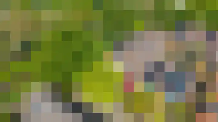 Bastertkamp 65 Zwolle thumbnail 38
