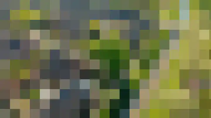 Bastertkamp 65 Zwolle thumbnail 40