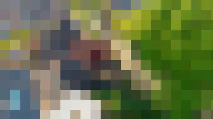 Bastertkamp 65 Zwolle thumbnail 41