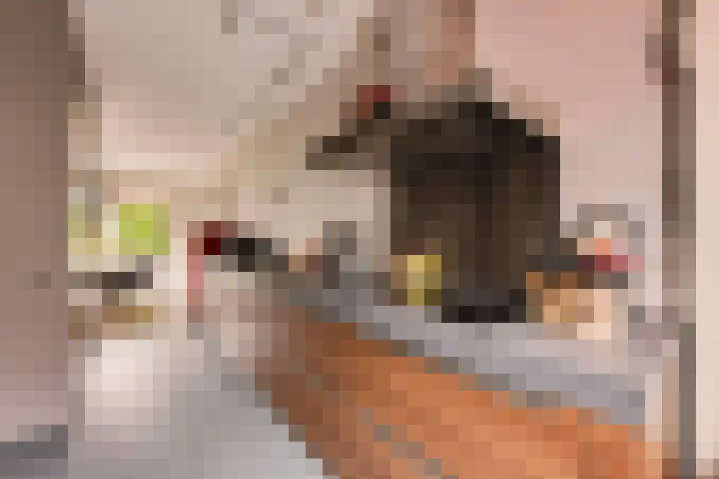 Bastertlaan 23 Loenen aan de Vecht thumbnail 10