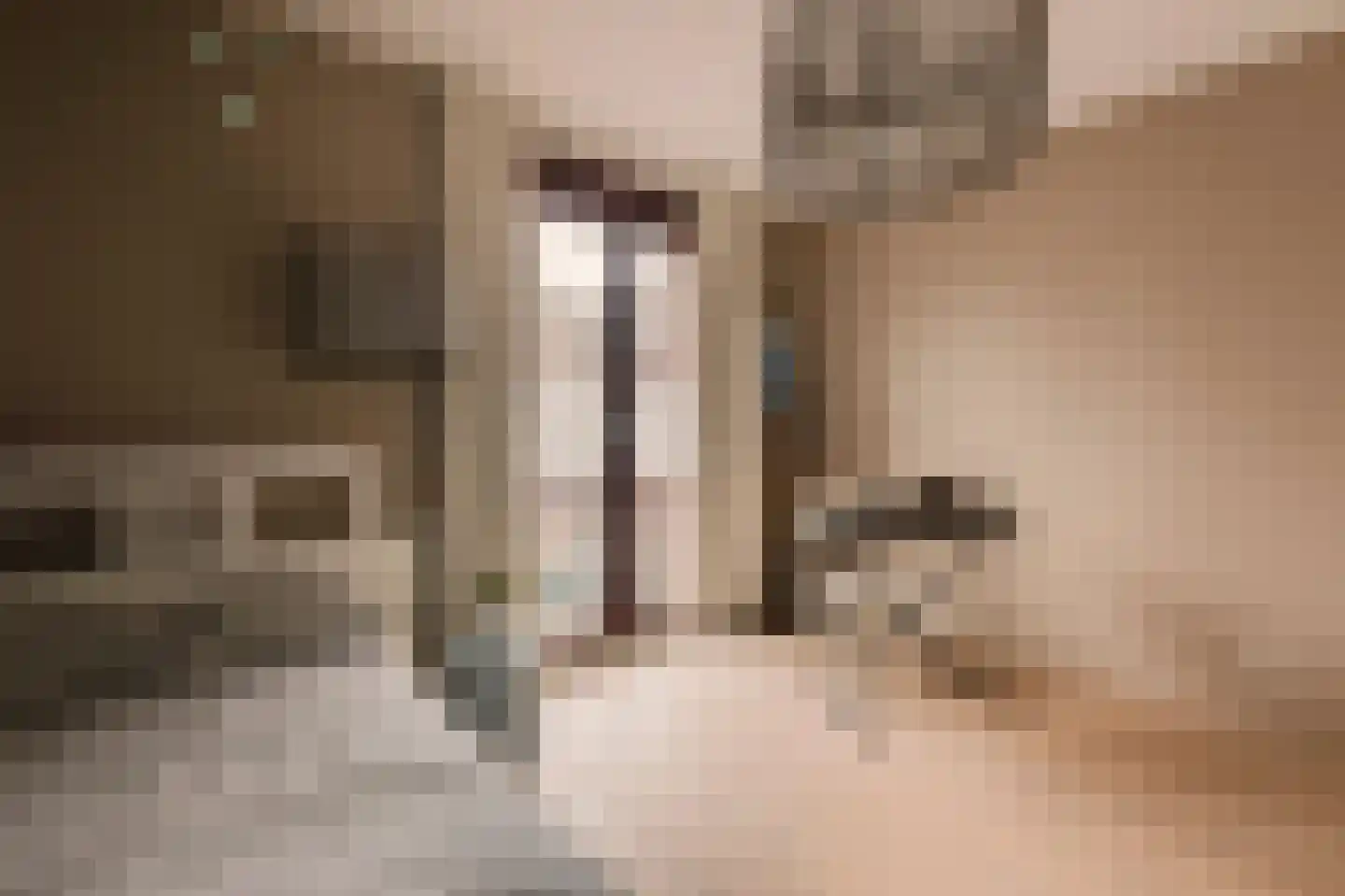 Bastertlaan 23 Loenen aan de Vecht thumbnail 27