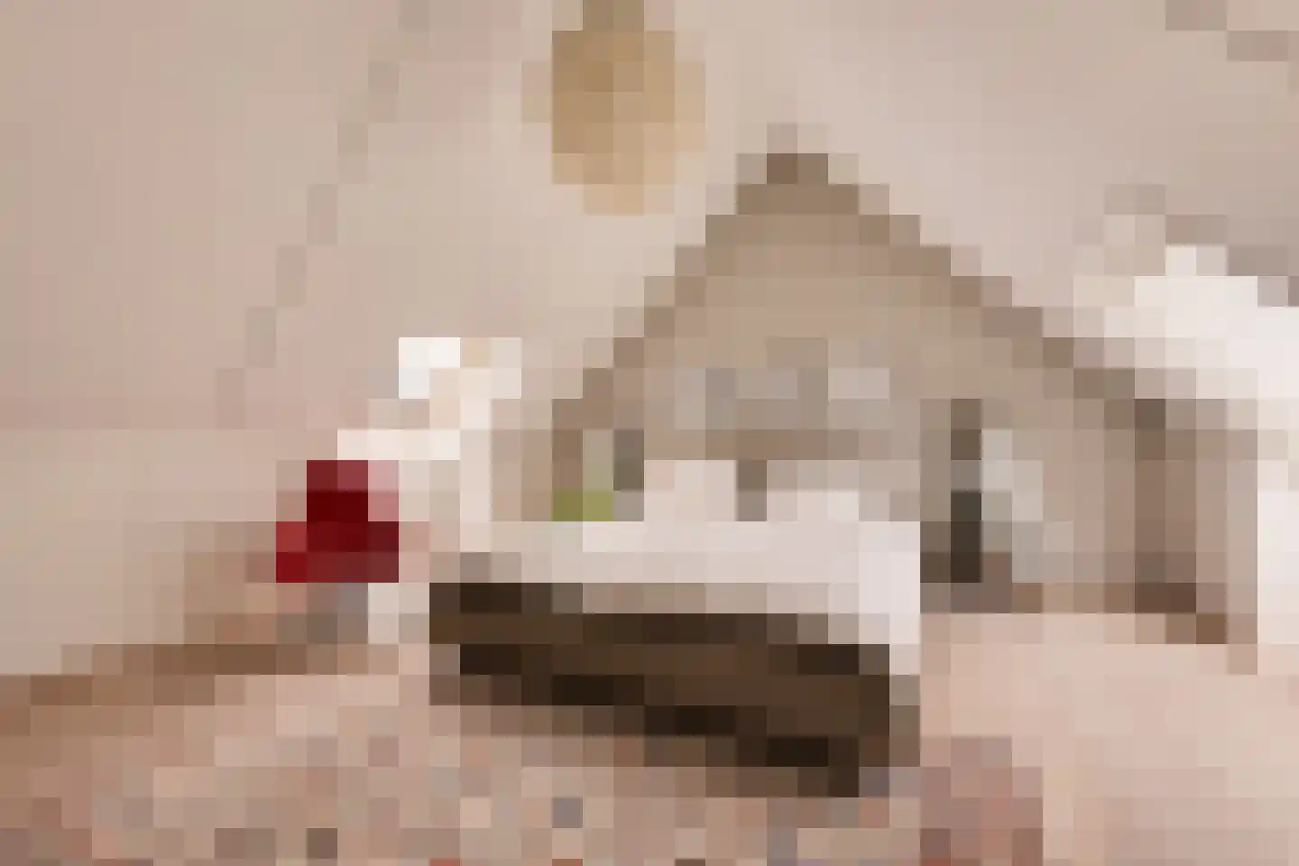 Bastertlaan 23 Loenen aan de Vecht thumbnail 28