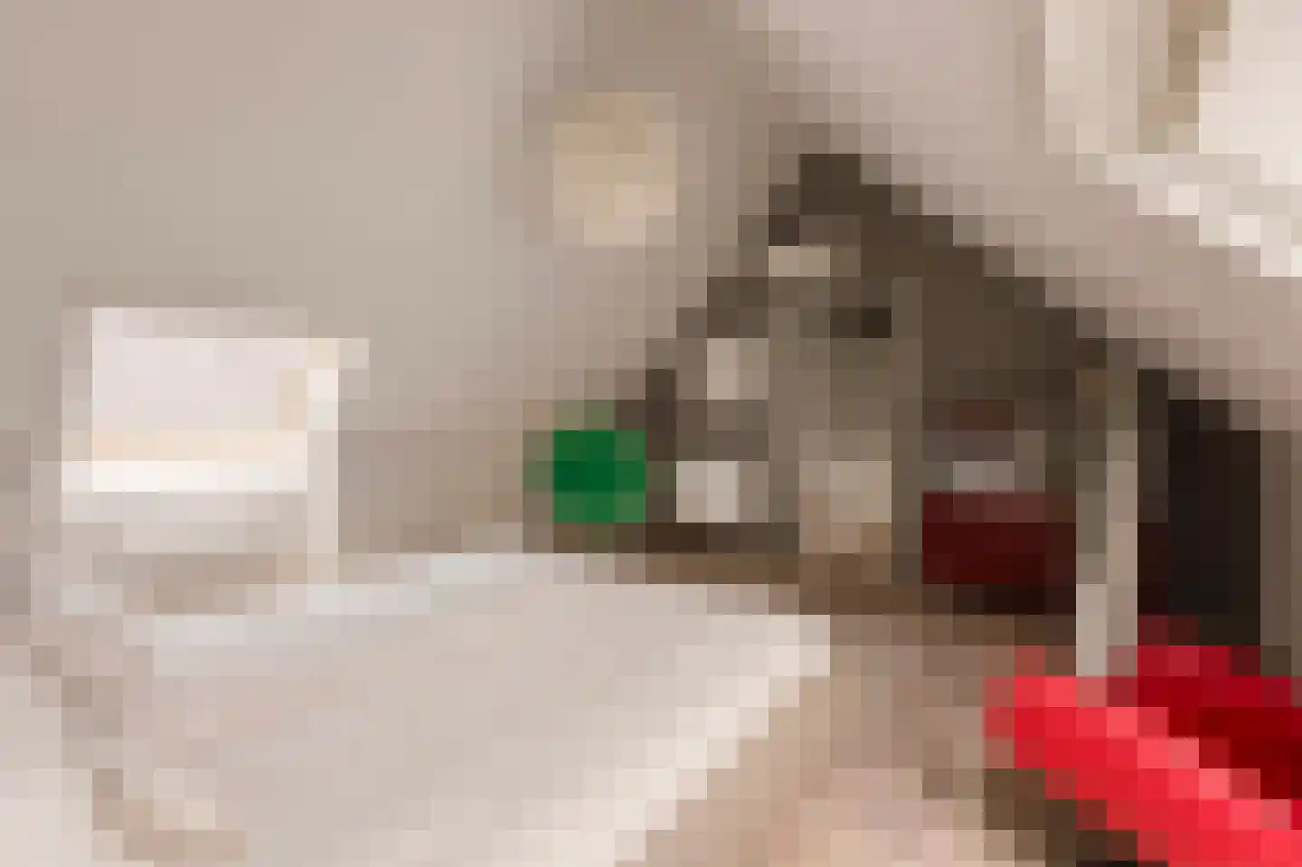 Bastertlaan 23 Loenen aan de Vecht thumbnail 29