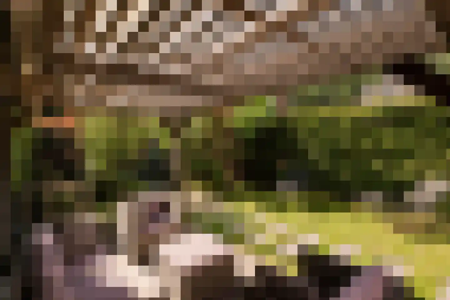 Bastertlaan 23 Loenen aan de Vecht thumbnail 37