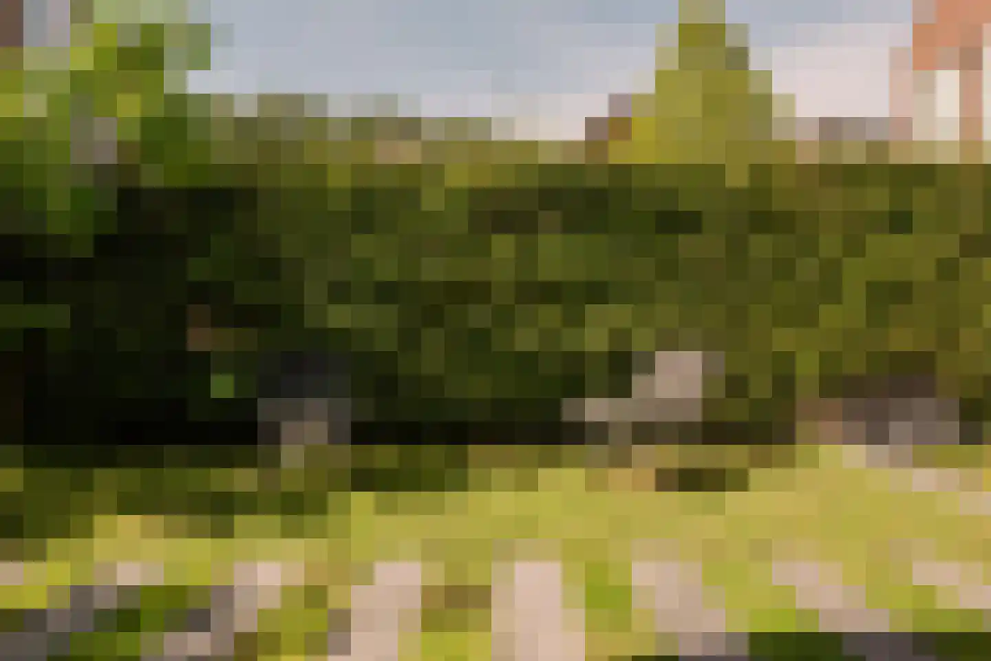 Bastertlaan 23 Loenen aan de Vecht thumbnail 42