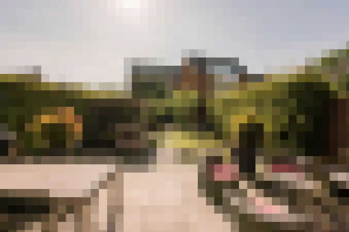 Bastertlaan 23 Loenen aan de Vecht thumbnail 44