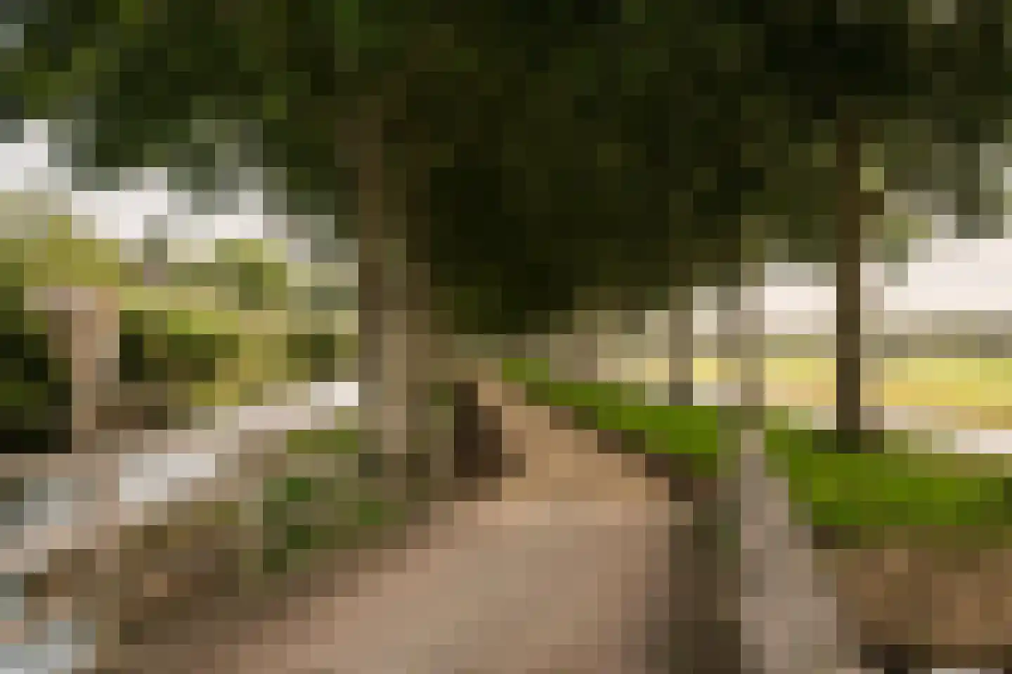 Bastertlaan 23 Loenen aan de Vecht thumbnail 53