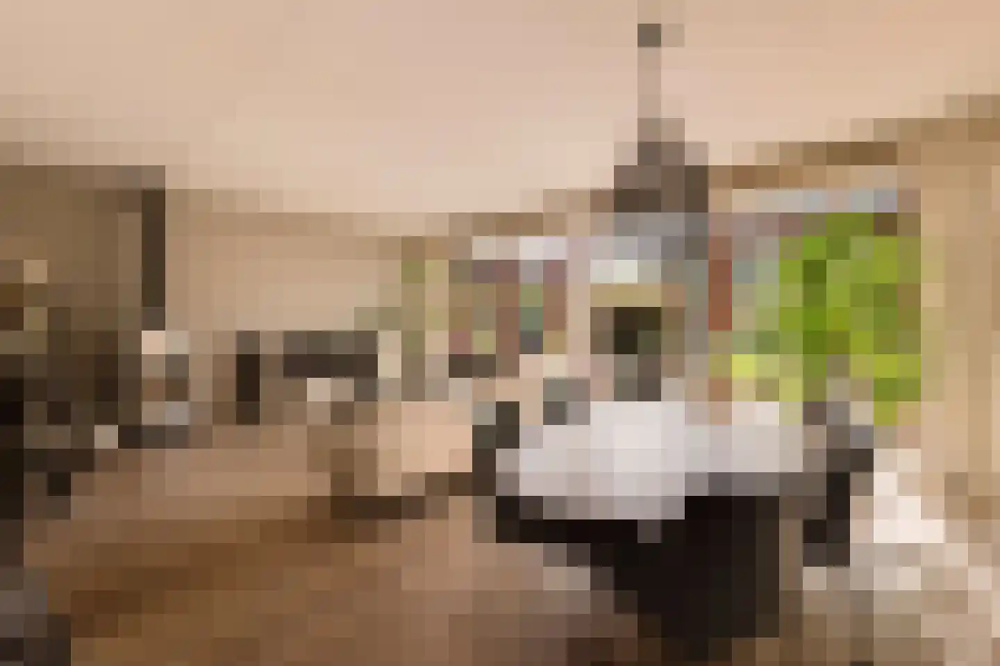 Bastertlaan 23 Loenen aan de Vecht thumbnail 6