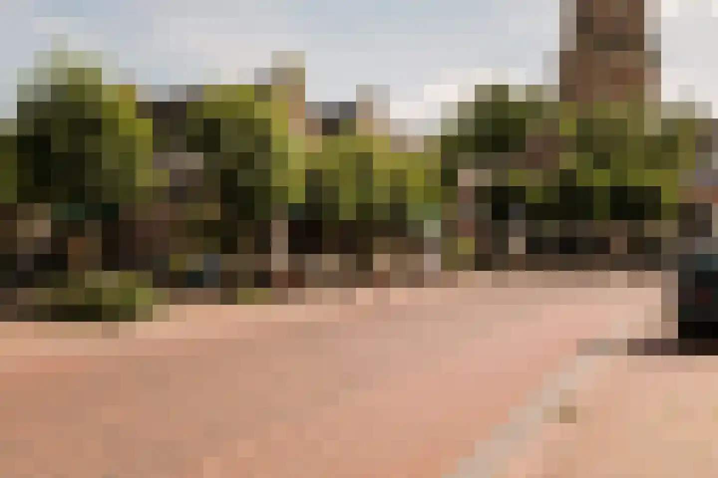 Bastertlaan 23 Loenen aan de Vecht thumbnail 61