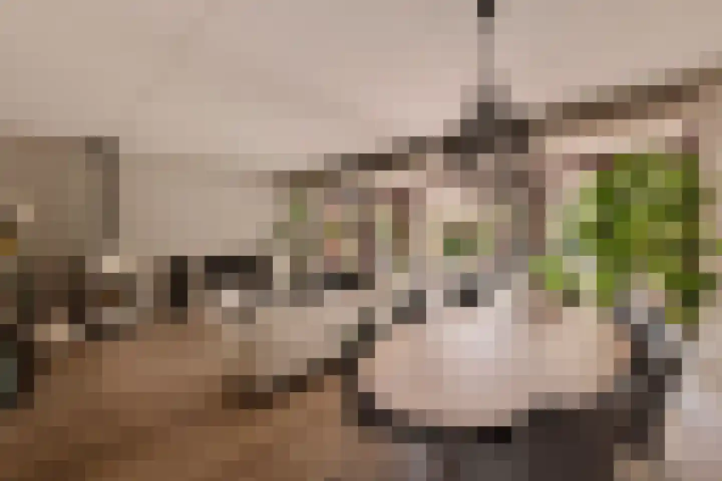 Bastertlaan 23 Loenen aan de Vecht thumbnail 8