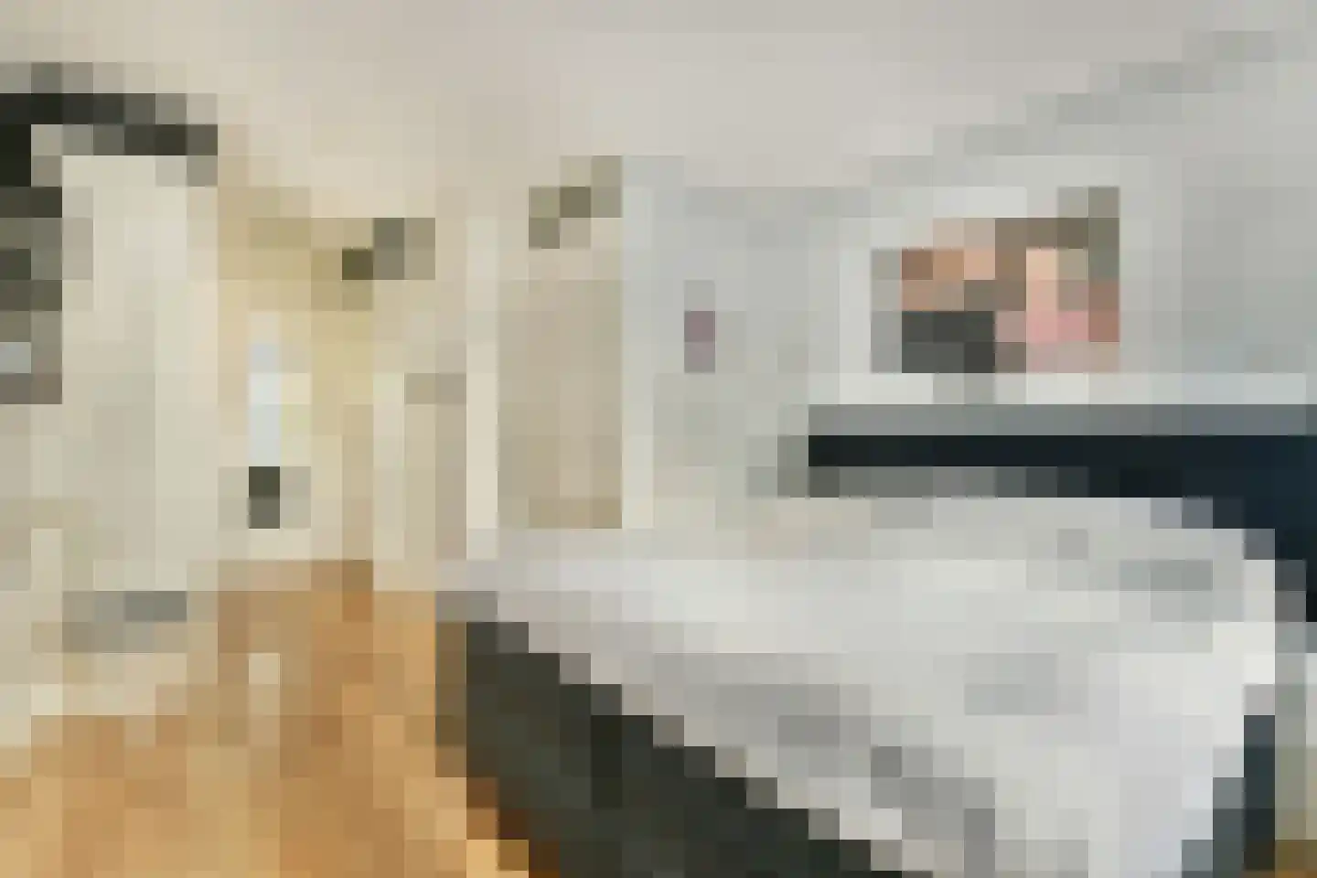 Bastertlaan 4 Loenen aan de Vecht thumbnail 18