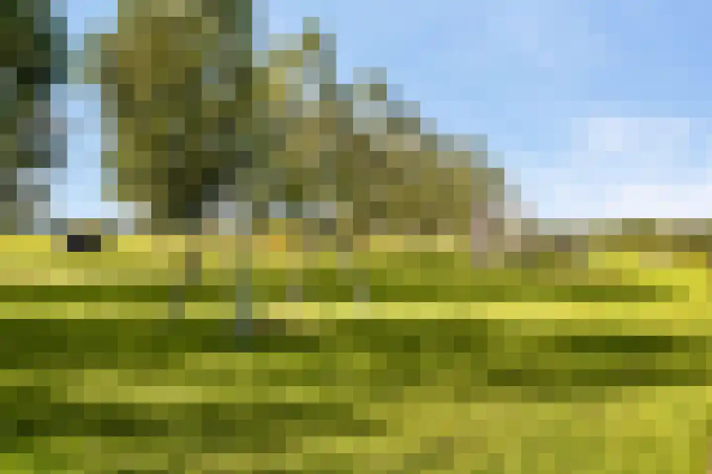 Bastertlaan 4 Loenen aan de Vecht thumbnail 46