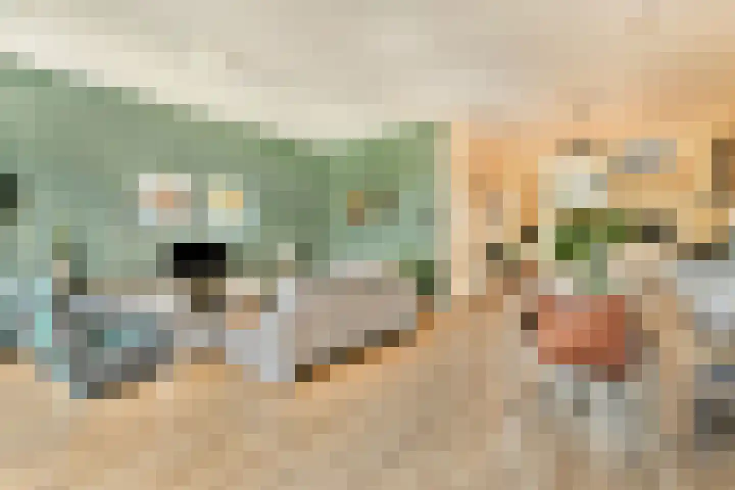 Bastertlaan 4 Loenen aan de Vecht thumbnail 5