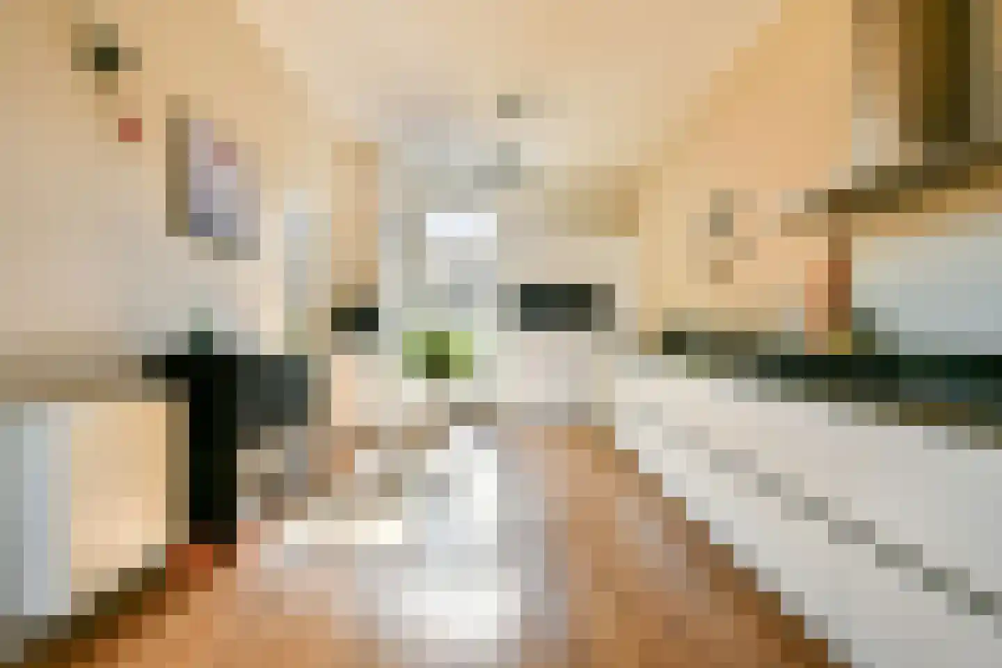 Bastertlaan 4 Loenen aan de Vecht thumbnail 7
