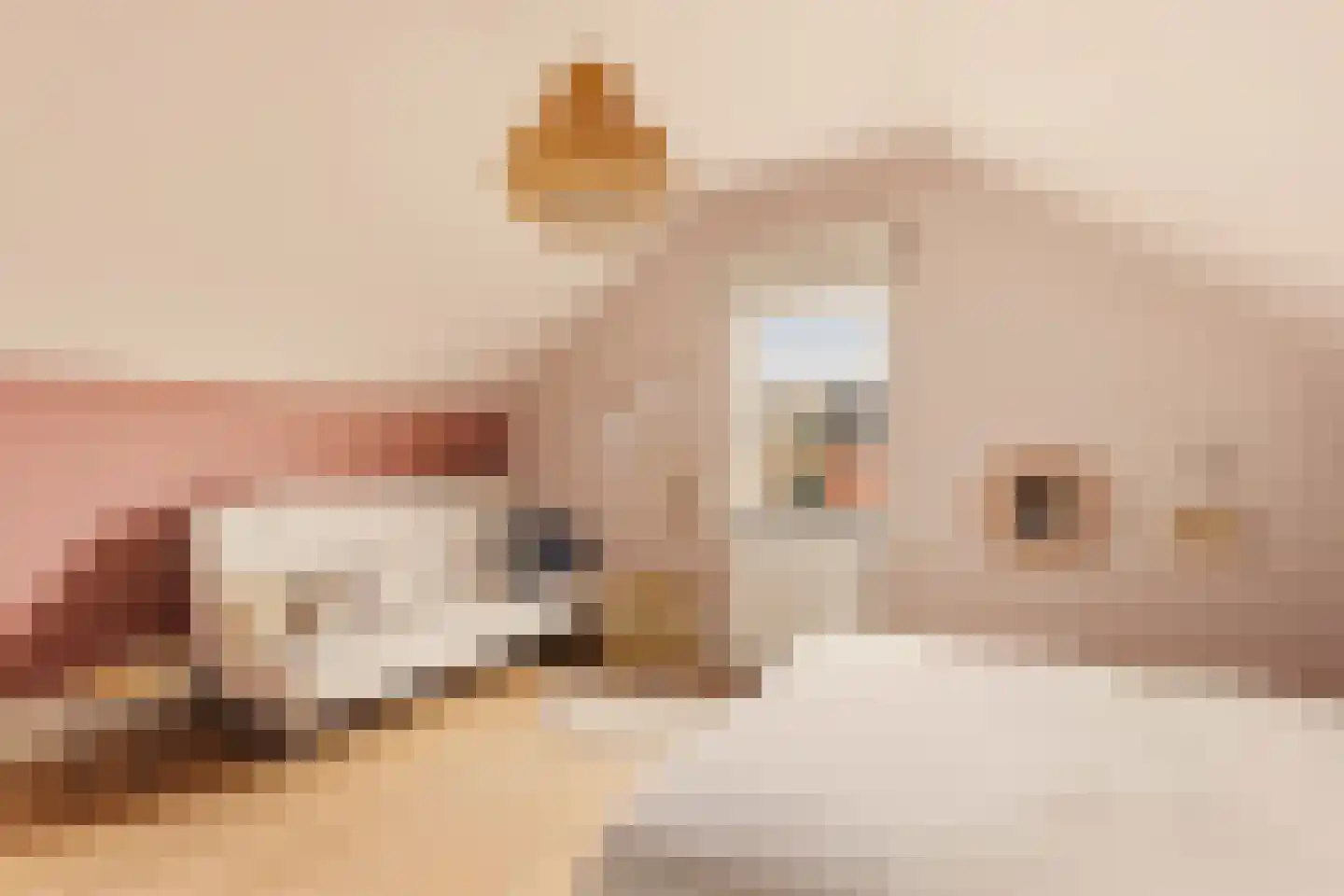 Bastertlaan 62 Loenen aan de Vecht thumbnail 42