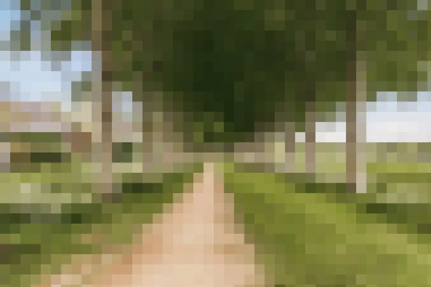 Bastertlaan 62 Loenen aan de Vecht thumbnail 63