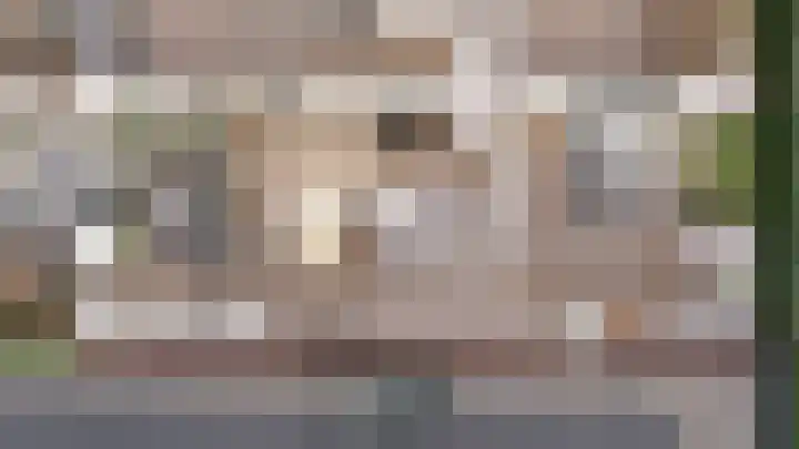 Bastiaan 78 Hilvarenbeek thumbnail 4