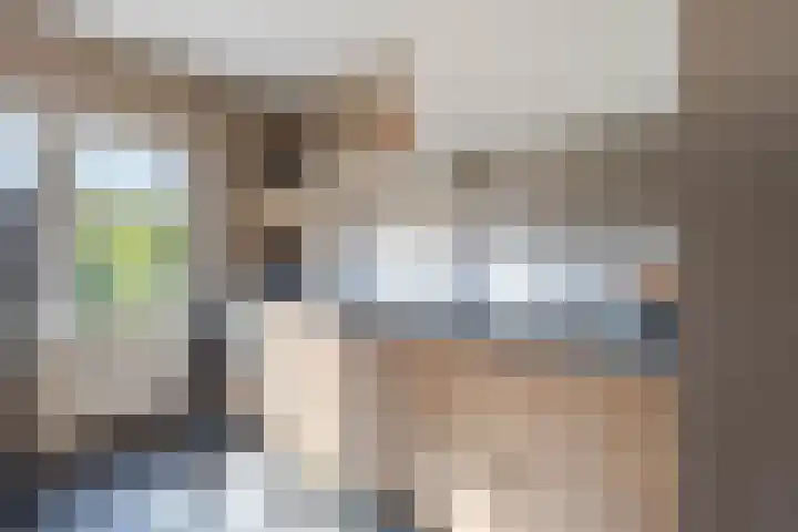 Bastiaan Bosstraat 20 Lexmond thumbnail 10