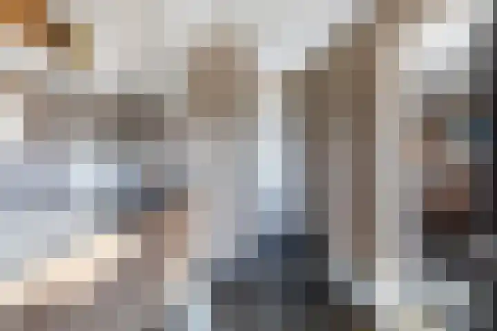 Bastiaan Bosstraat 20 Lexmond thumbnail 12