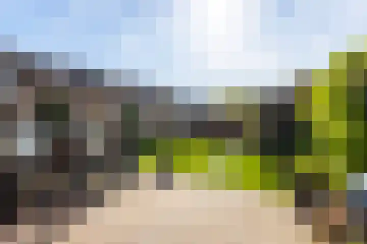 Bastiaan Bosstraat 20 Lexmond thumbnail 29